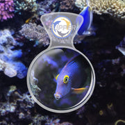 Clear Flipper DeepSee Viewer Max 5-inch accessory for underwater exploration, showing the transparent viewing lens.