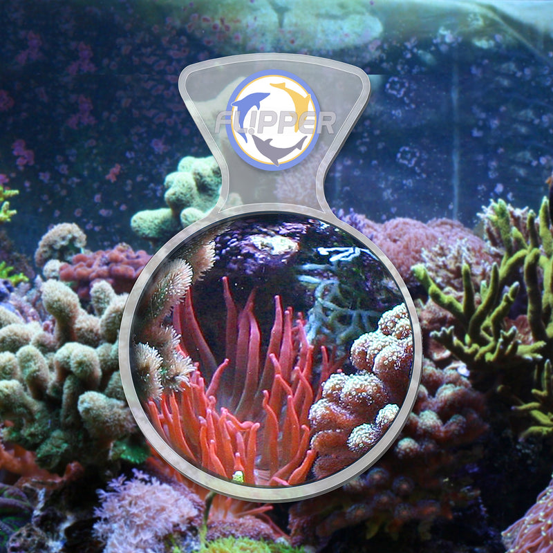 Clear Flipper DeepSee Viewer Max 5-inch accessory for underwater exploration, featuring a compact, transparent design.