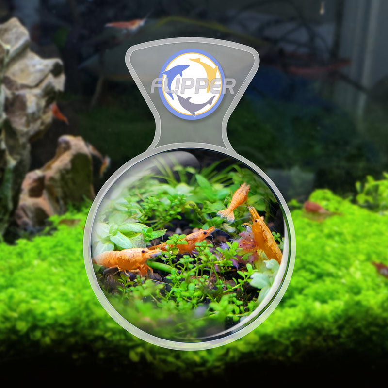 Clear Flipper DeepSee Viewer Max 5-inch accessory for snorkeling and diving, showcasing its transparent, durable design.