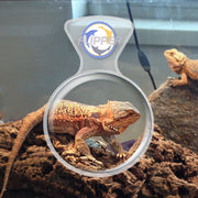 Clear Flipper DeepSee Viewer Max 5-inch accessory for magnifying and viewing small objects with clarity and precision.