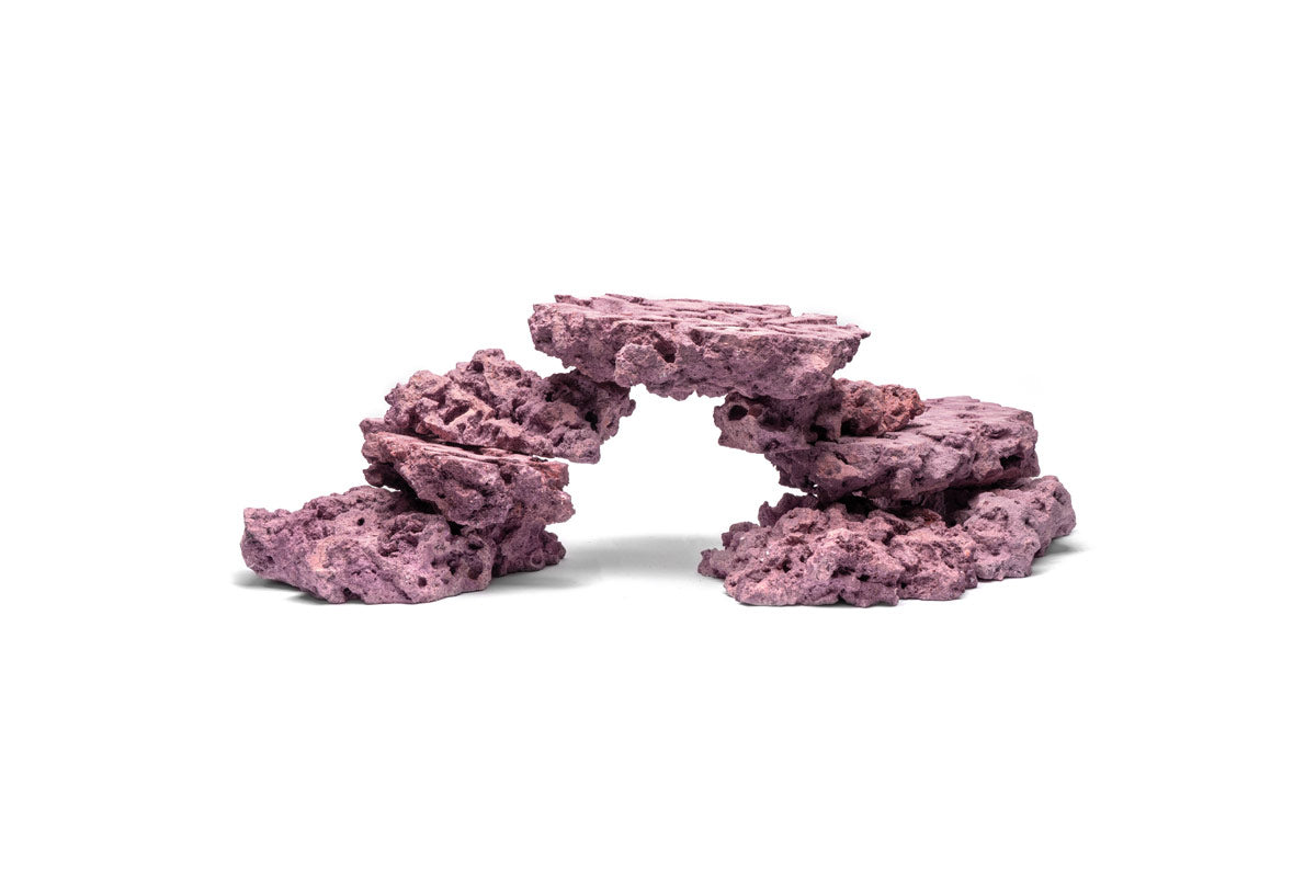 Foundation Rock - Coralline - 20LB — Buce Plant