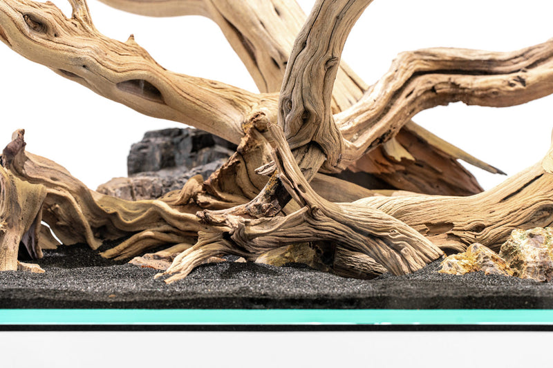 Ghost Wood Driftwood - Buce Plant