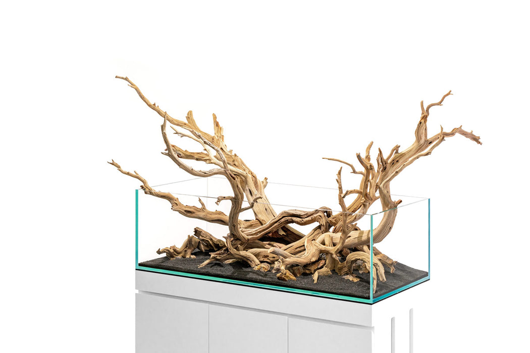 Ghost Wood