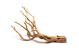 Ghost Wood