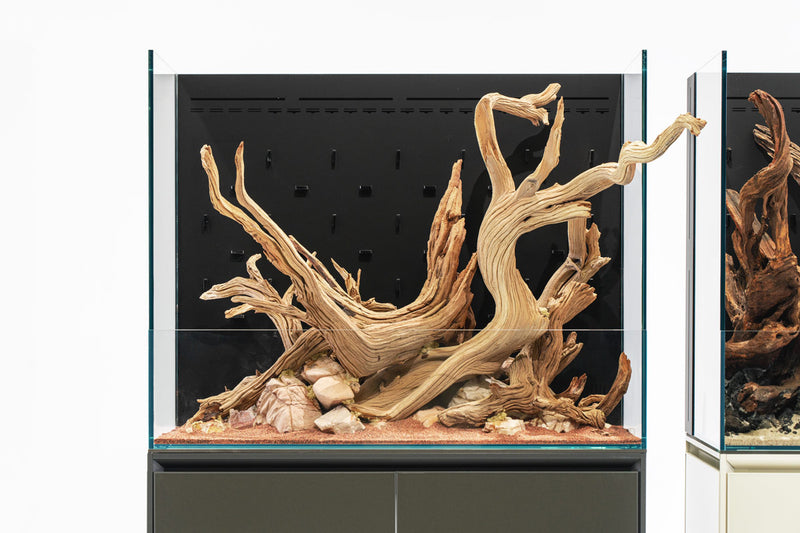 UNS 75E - Foresta Integrated Paludarium Rimless Tanks - Buce Plant