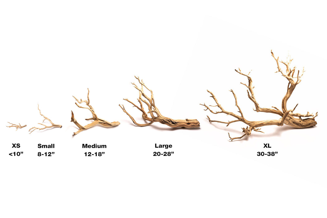 Natural driftwood piece called Ghost Wood from RNR, showcasing weathered, textured wood with an organic, ghostly appearance.
