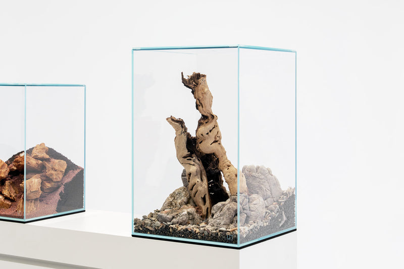 Medium hollow log made of grape wood for aquarium decoration, part of Ultum Nature Systems UNS 30TM rimless tank setup.