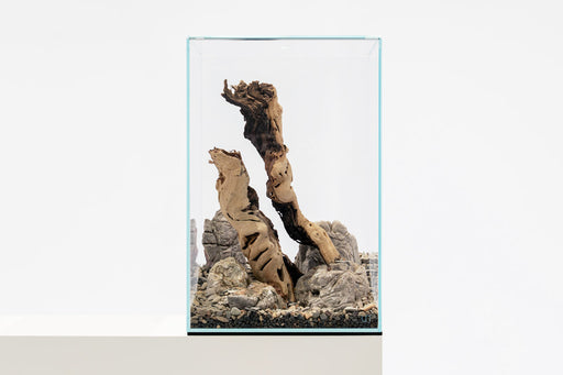 Medium Grape Wood Hollow Log, 8-16 inches, by DH, showing a natural wooden hollow log with textured bark and organic shape.