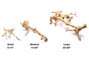 Grape Wood (Large) 20-28"  - Buce Plant