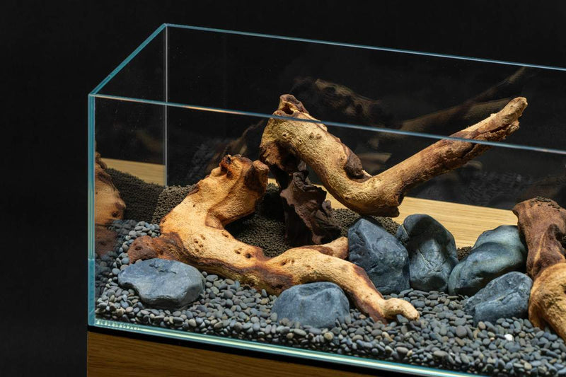 Mopani Wood Driftwood - Buce Plant
