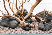 Hakkai Stone Stone - Buce Plant