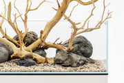 Hakkai Stone Stone - Buce Plant