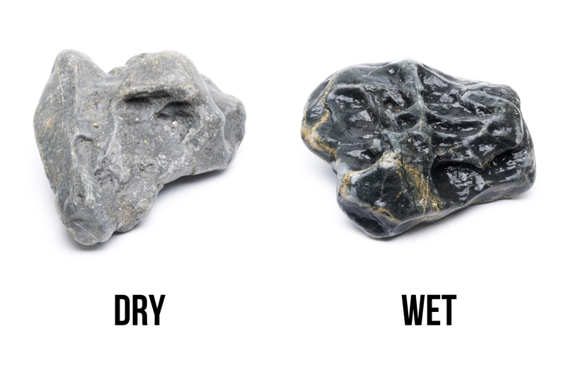 Hakkai Stone Stone - Buce Plant
