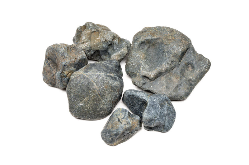 Hakkai Stone Stone - Buce Plant