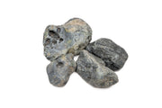Hakkai Stone Stone - Buce Plant