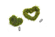 Heart Shaped Christmas Moss Wreath Aquatic Plant - Buce Plant