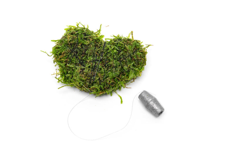 Heart Shaped Christmas Moss Wreath Aquatic Plant - Buce Plant