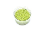 Hemianthus Callitrichoides 'Cuba White'  - Buce Plant