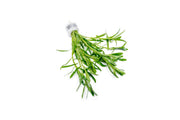 Healthy Heteranthera Zosterifolia aquatic plant from ACW, with vibrant green foliage ideal for freshwater aquariums.