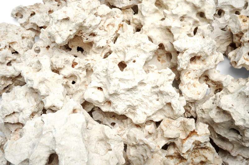 Holey Rock
