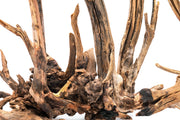 Nano Horn Wood Driftwood - Buce Plant