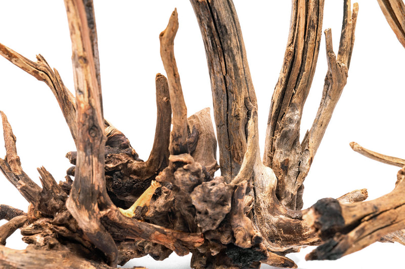 Nano Horn Wood Driftwood - Buce Plant
