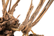 Nano Horn Wood Driftwood - Buce Plant