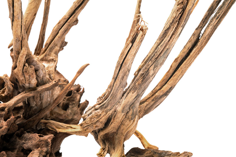 Nano Horn Wood Driftwood - Buce Plant