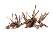 Nano Horn Wood Driftwood - Buce Plant