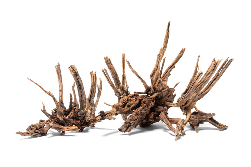 Nano Horn Wood Driftwood - Buce Plant