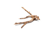 Nano Horn Wood Driftwood - Buce Plant