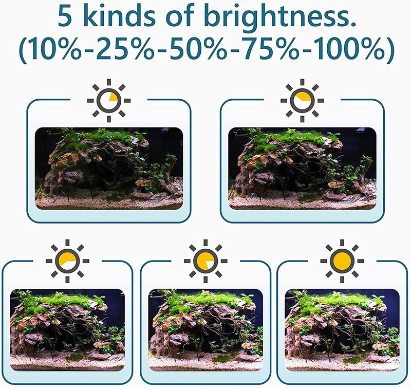 Hygger LED clip-on light HG990 for 24/7 lighting, compact and adjustable, ideal for aquariums or small spaces.