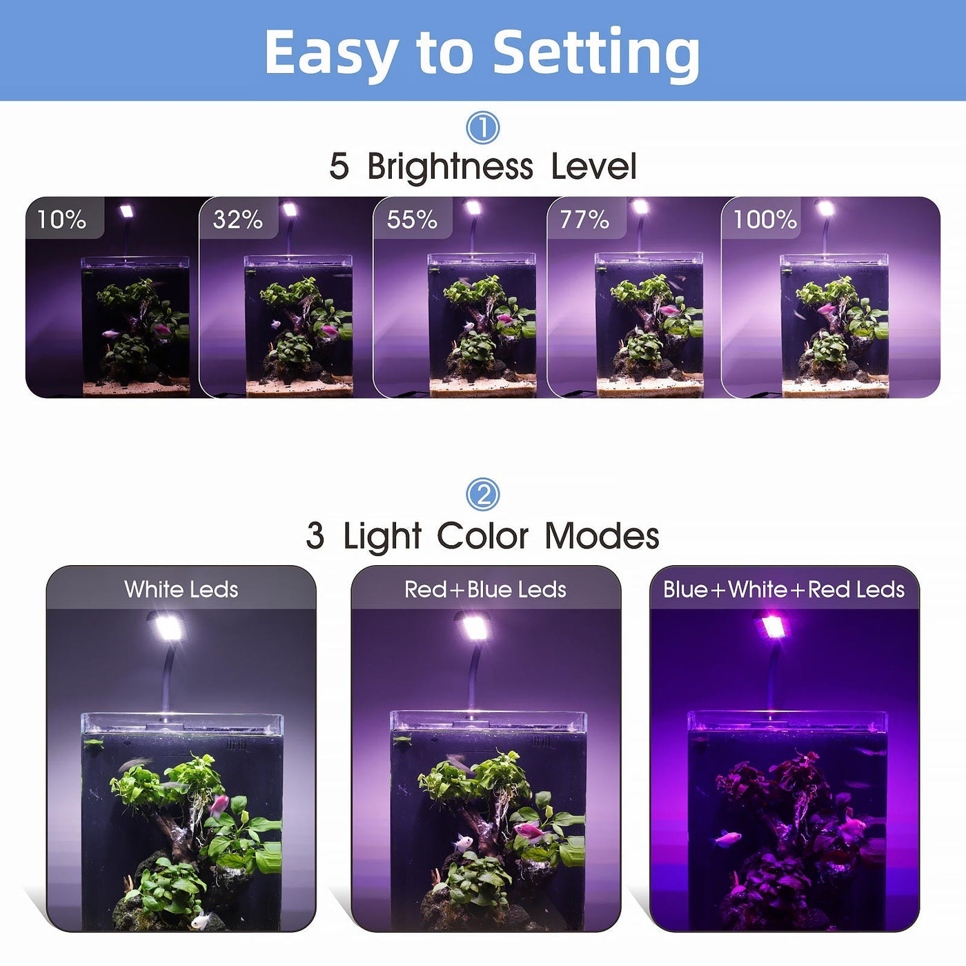 Hygger LED Light - Nano Clip-On — Buce Plant