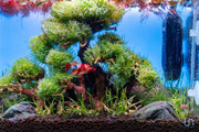 Hygger submersible aquarium heater, adjustable thermostat, designed for reliable temperature control in fish tanks.