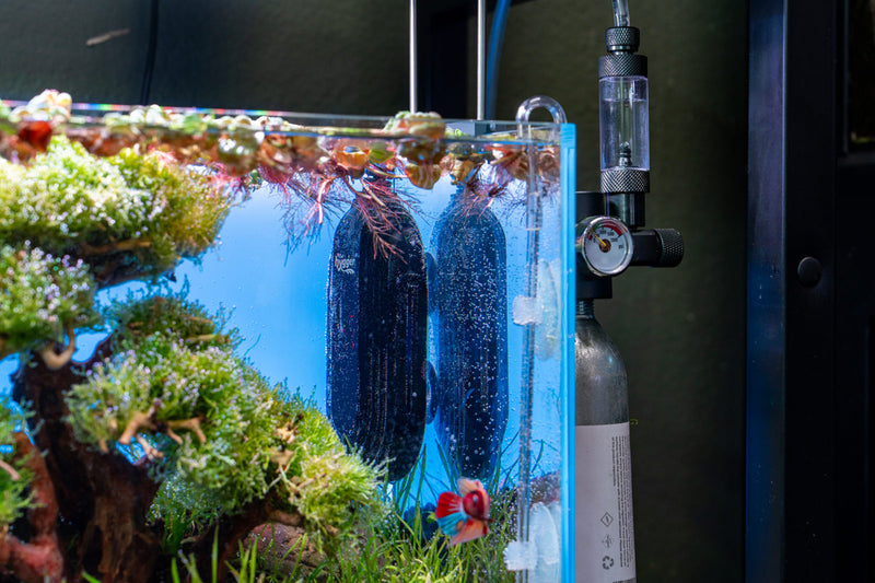Hygger submersible aquarium heater in a fish tank, showcasing the adjustable temperature dial and sleek design.