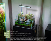 Clear rimless 2.1-gallon paludarium by Ultum Nature Systems with jade stone background, designed for aquatic and terrestrial plants.