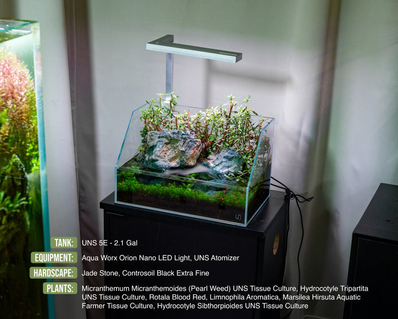 Clear rimless 2.1-gallon paludarium by Ultum Nature Systems with jade stone background, designed for aquatic and terrestrial plants.