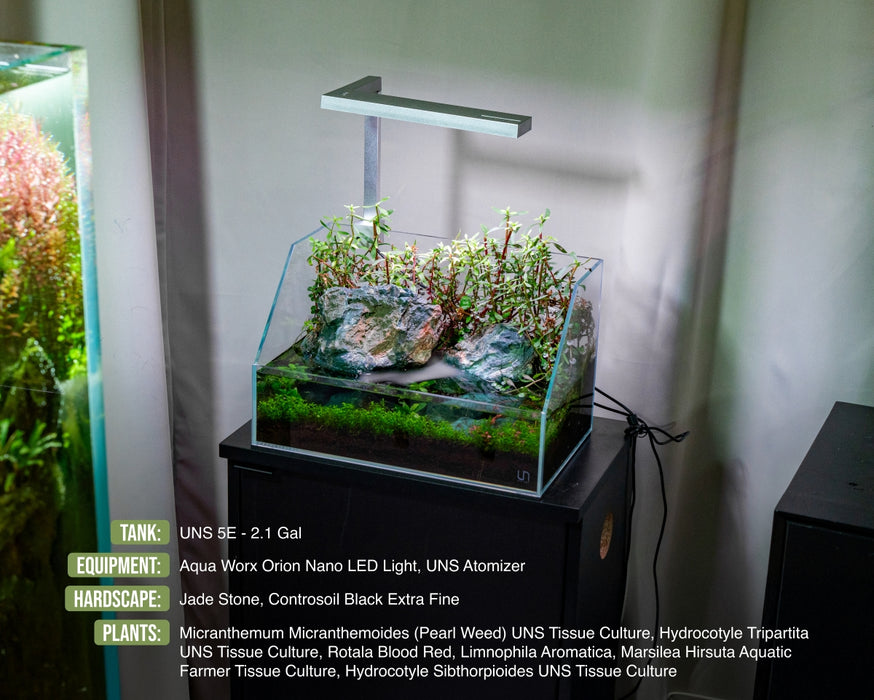 ice planted jade Jade Stone Natural Aquarium Hardscape