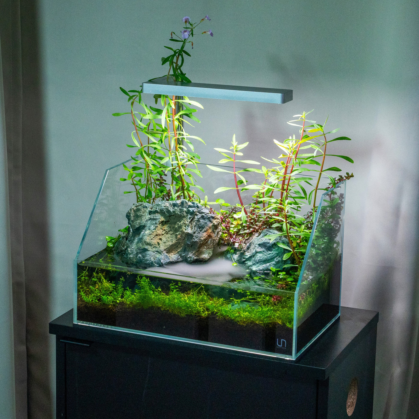 Gallery image with a fresh perspective
