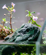 Beautiful green jade stone from UNSHARDSCAPE, showcasing smooth polished surface and natural stone texture.