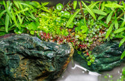 Smooth green jade stone from UNSHARDSCAPE, showcasing its polished surface and natural texture.