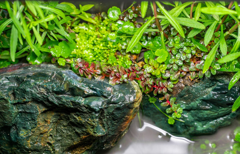 Smooth green jade stone from UNSHARDSCAPE, showcasing its polished surface and natural texture.