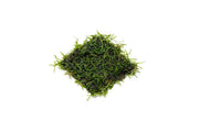 Java moss attached to stainless steel substrate, ideal for aquariums, by CPA, showcasing lush green aquatic plant growth.