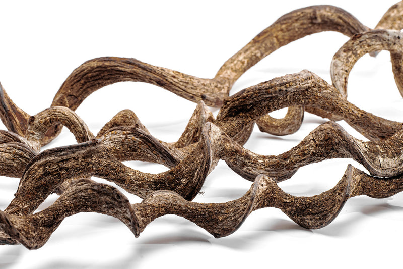 Driftwood jungle vine wood piece by UNSHARDSCAPE, featuring natural twisted wood with organic jungle vine textures.