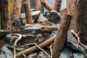 Log Wood Driftwood - Buce Plant