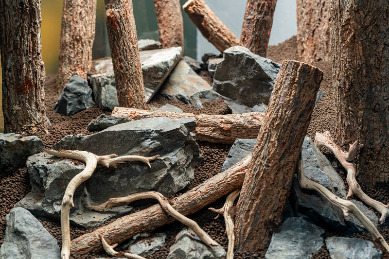 Log Wood Driftwood - Buce Plant