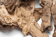 Driftwood piece called Madra Wood by UNSHARDSCAPE, showcasing natural, weathered wood with textured surface and unique shape.