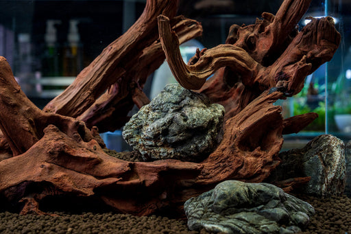 Malaysian driftwood piece from UNSHARDSCAPE, natural weathered wood with intricate textures and organic shapes for decorative use.