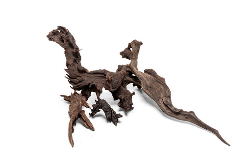 Natural Malaysian driftwood piece from UNSHARDSCAPE, showcasing its unique shape and weathered, organic wood texture.