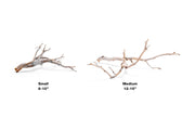 Natural Manzanita Driftwood piece with twisted branches and smooth, weathered surface, ideal for decorative or craft use.